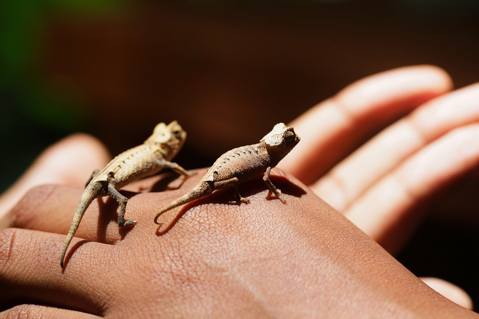 A nice and moody background image.